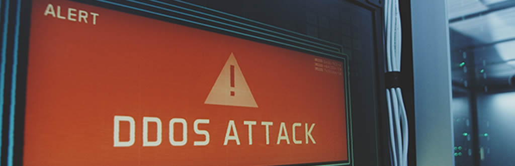 DDoS attack on DEADHOUSE