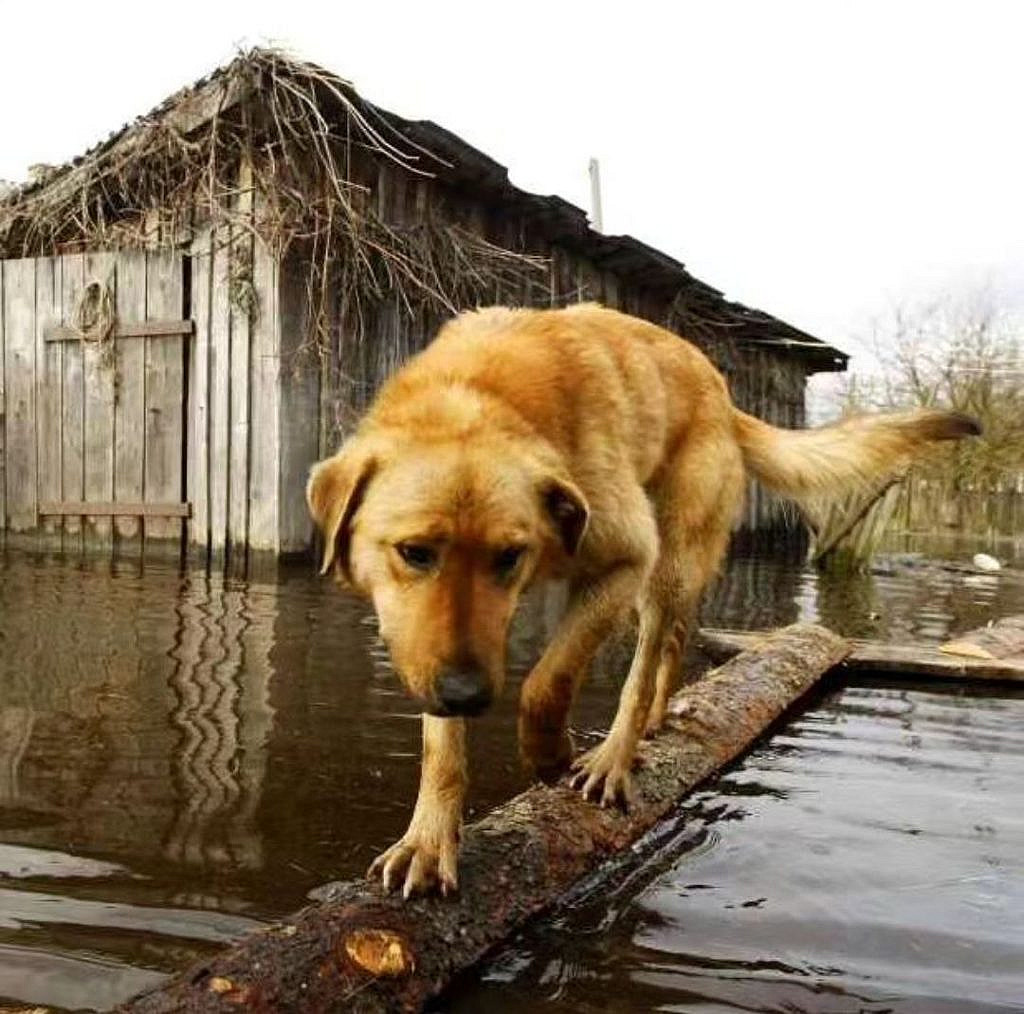 Затопленный Херсон. Украина