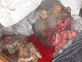 Смерть. Жертва израильских бомбежек