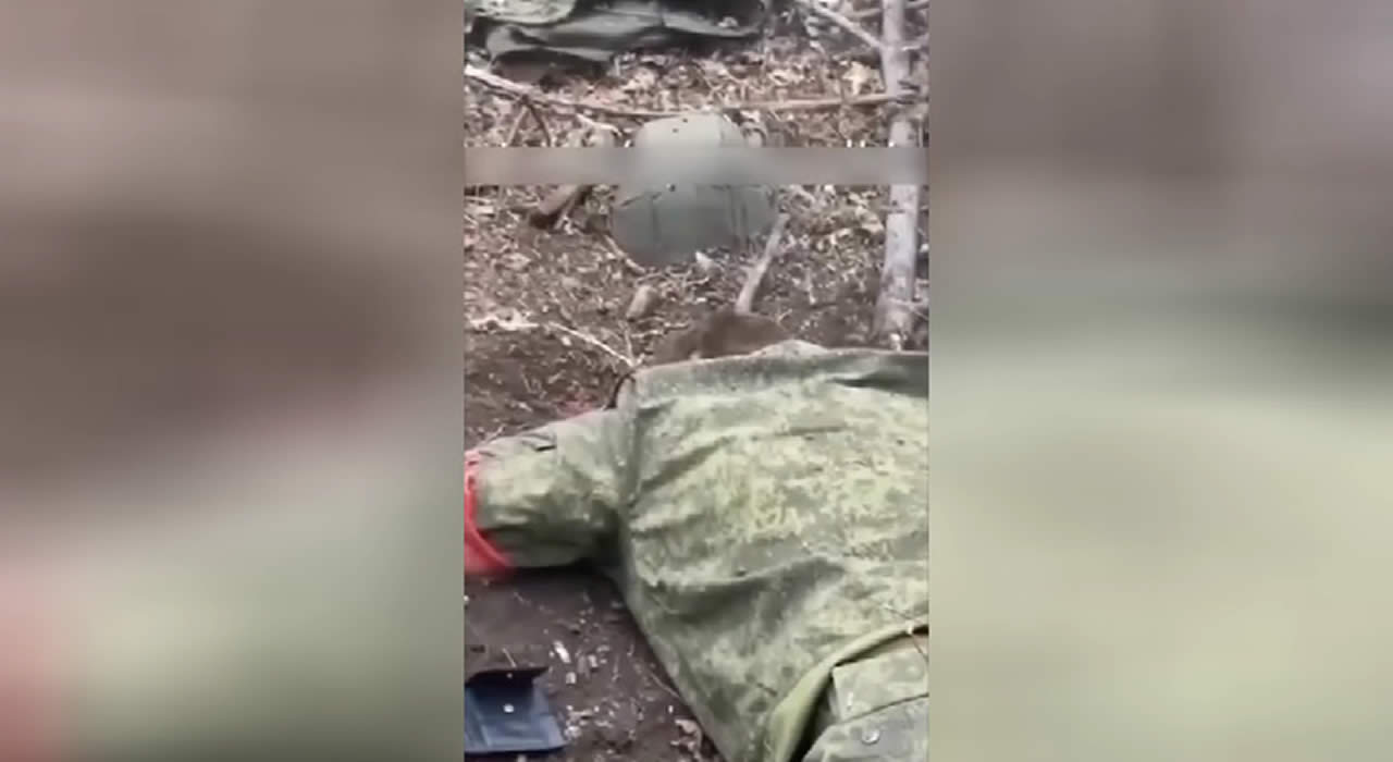 Ukrainian military finish off Russian wounded