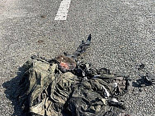 Неопознанные останки в российской военной форме