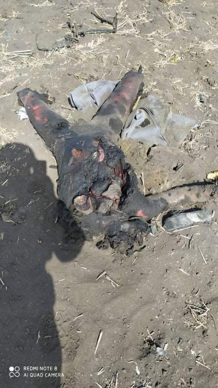 Zaporozhye region. A charred corpse without a head.