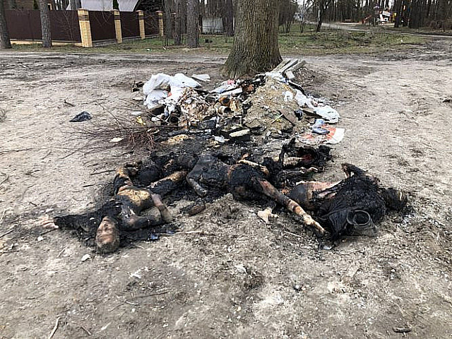 Сожженные трупы женщин. Украина