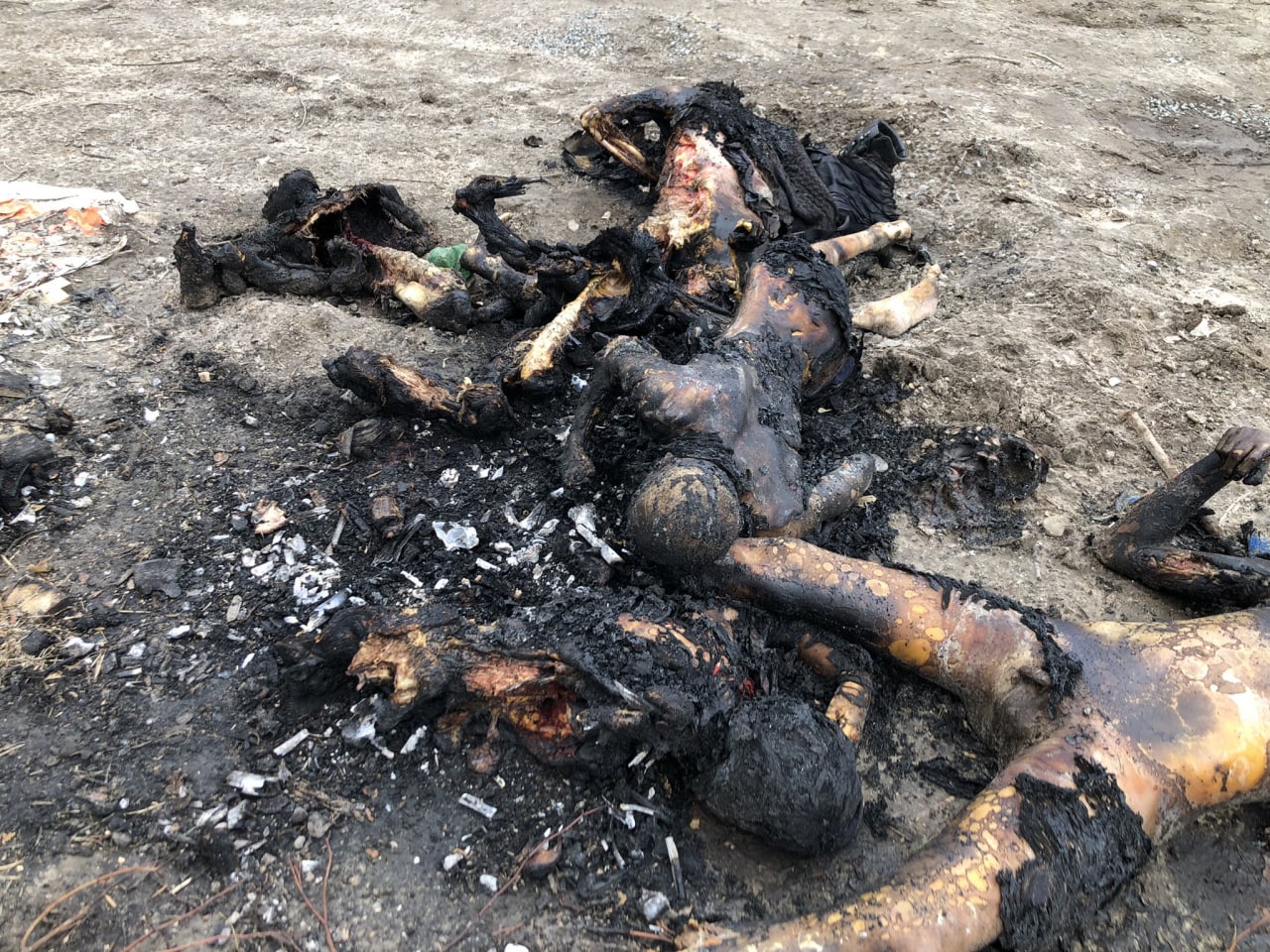 Сожженные трупы женщин. Украина
