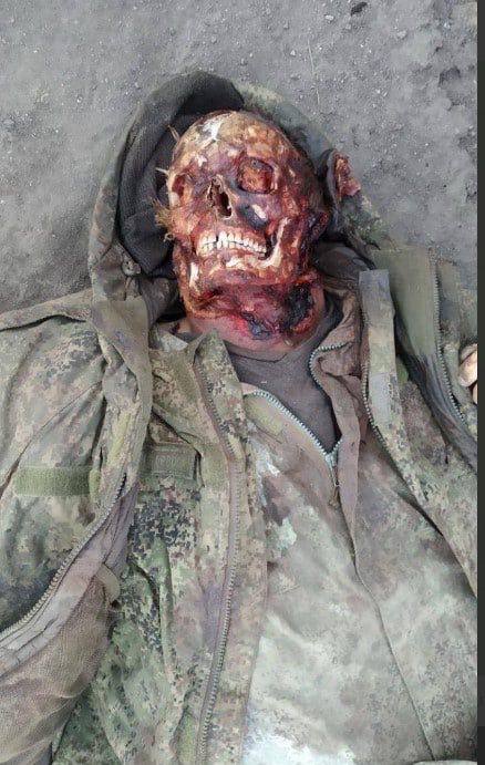 Лицо трупа российского бойца объели собаки