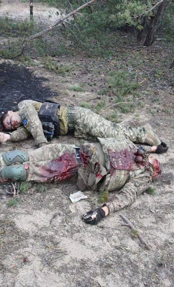 Трупы украинских бойцов